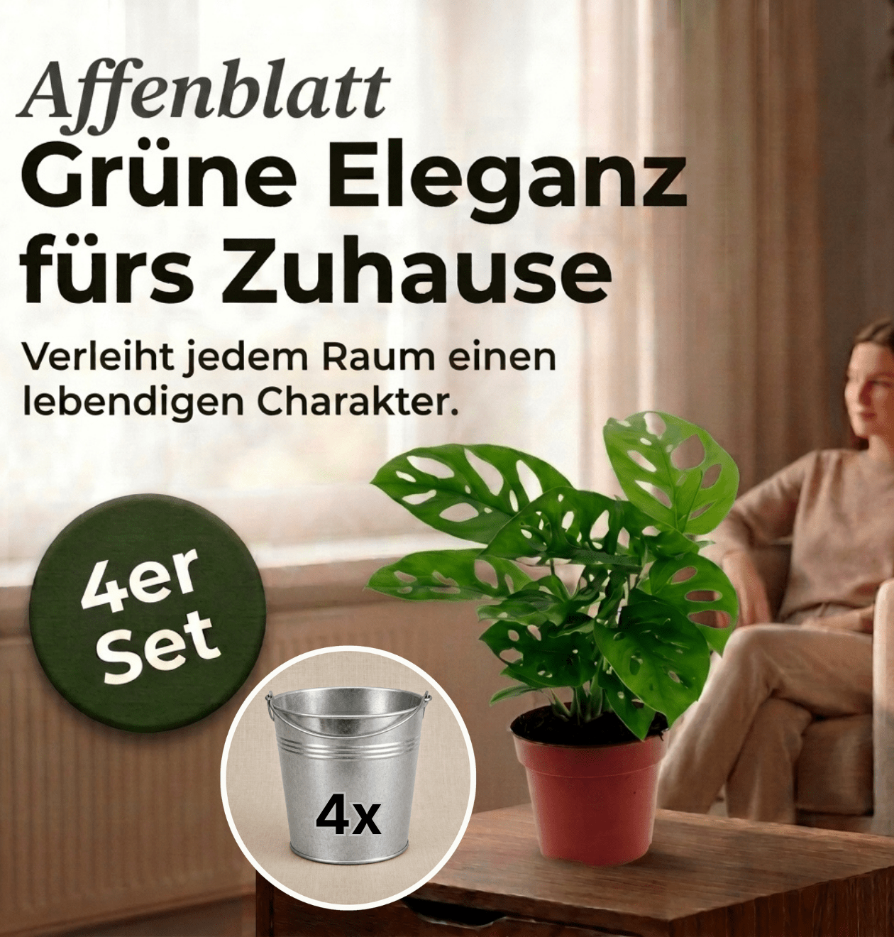 Monstera adansonii + Zinktopf | 4er - Set | Monkey Leaf | ca. 25 - 30 cm | Ø 12 - 15 cm Topf - Blume Ideal
