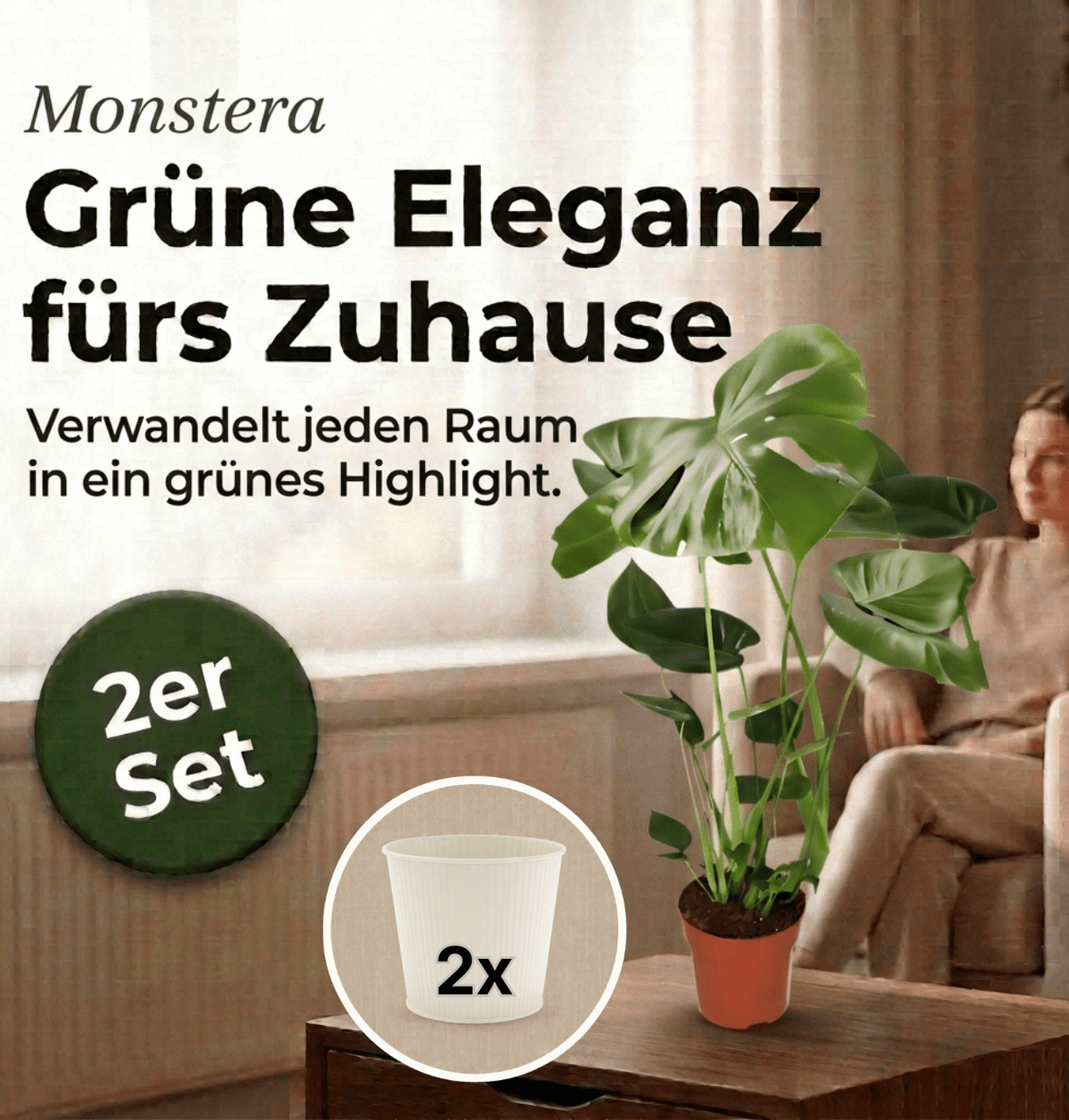 Monstera deliciosa + 2x Cremefarbener Zinktopf | 2er-Set | Fensterblatt | ca. 55-70 cm | Ø 12-15 cm Topf - Blume Ideal