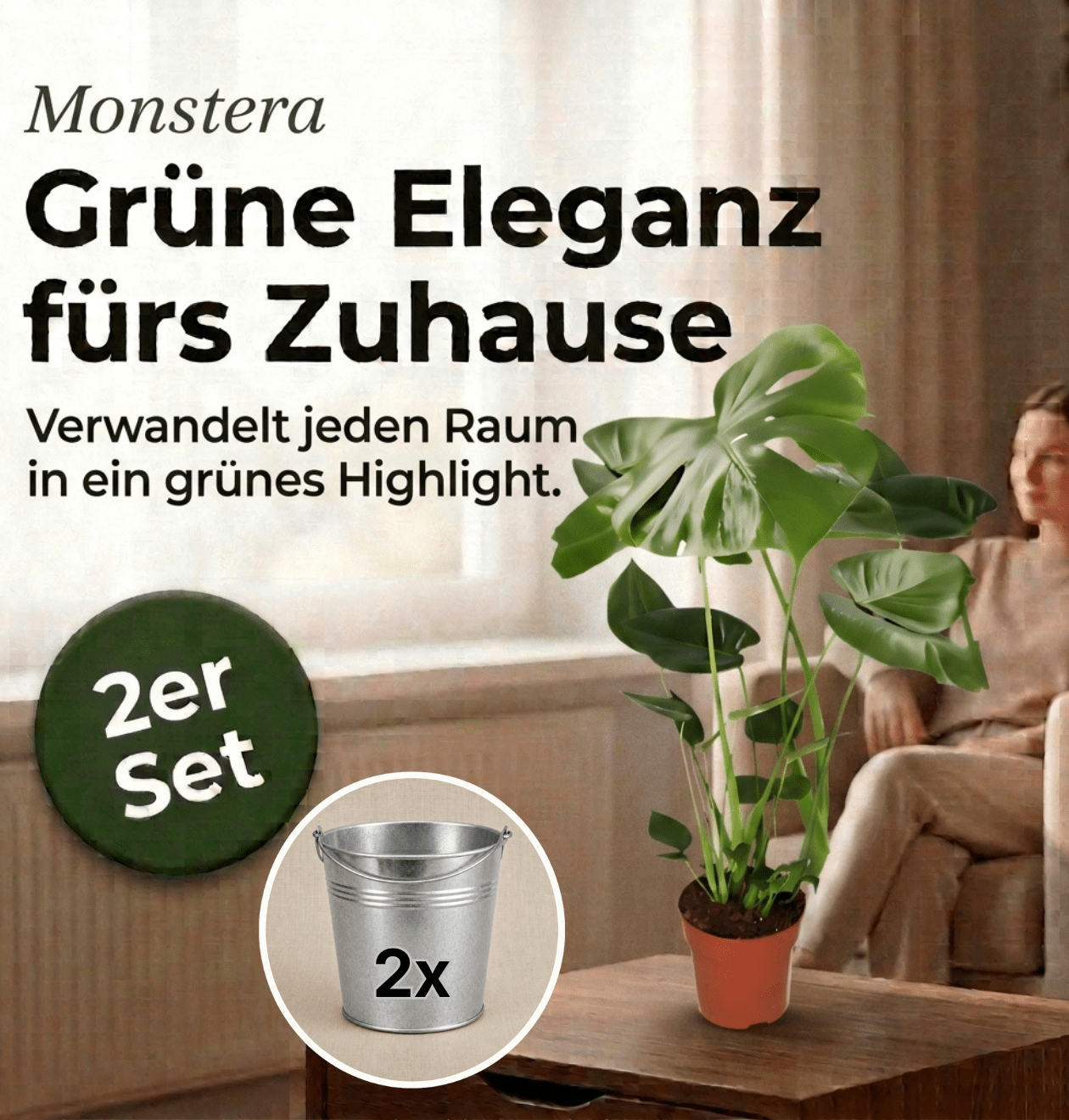 Monstera deliciosa + Zinktopf | 2er - Set | Fensterblatt | ca. 55 - 70 cm | Ø 12 - 15 cm Topf - Blume Ideal