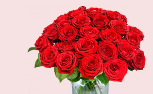 Rosenversand - Rosen verschicken | BlumeIdeal.de