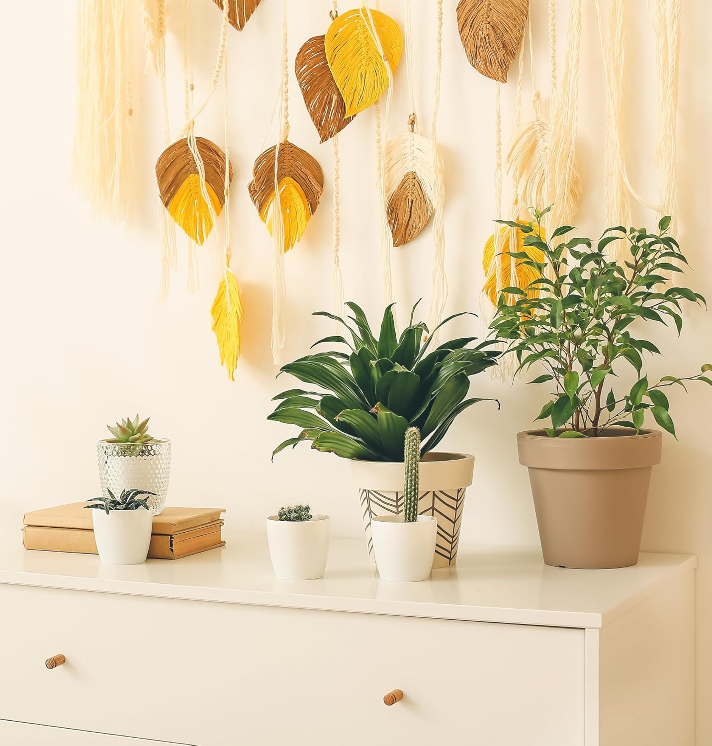 Pflanzenüberraschung + Zinktopf | 6er - Set | ca. 30 - 70 cm | Ø 12 - 15 cm Topf - Blume Ideal