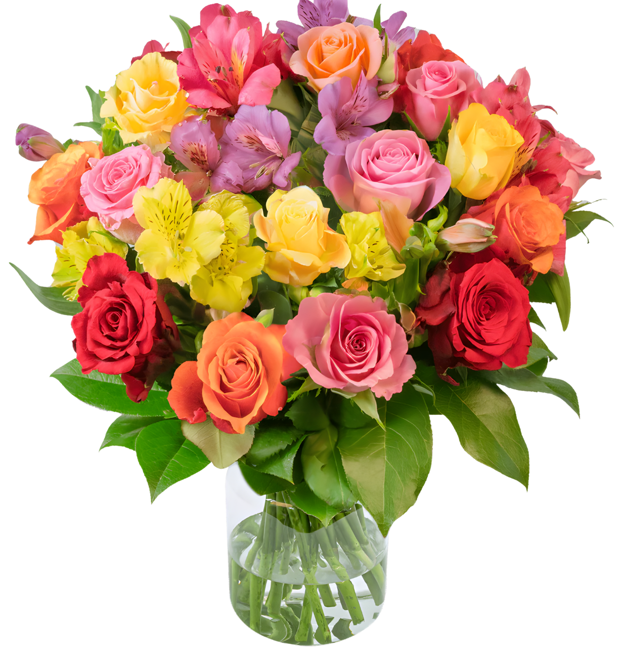 Rosenglück XL - Blume Ideal