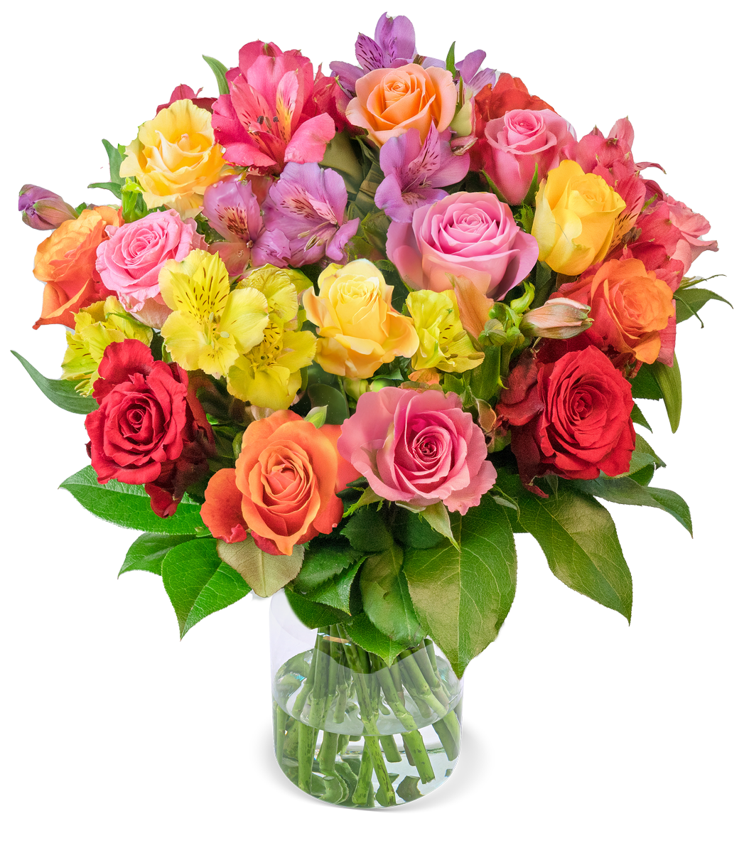 Rosenglück mit bis zu 40 Blüten