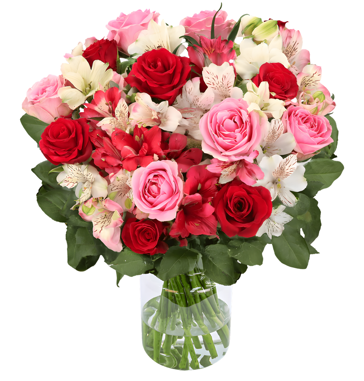 Rosenwunder XL - Blume Ideal