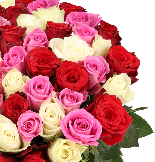 50 Rosen - Love Loud