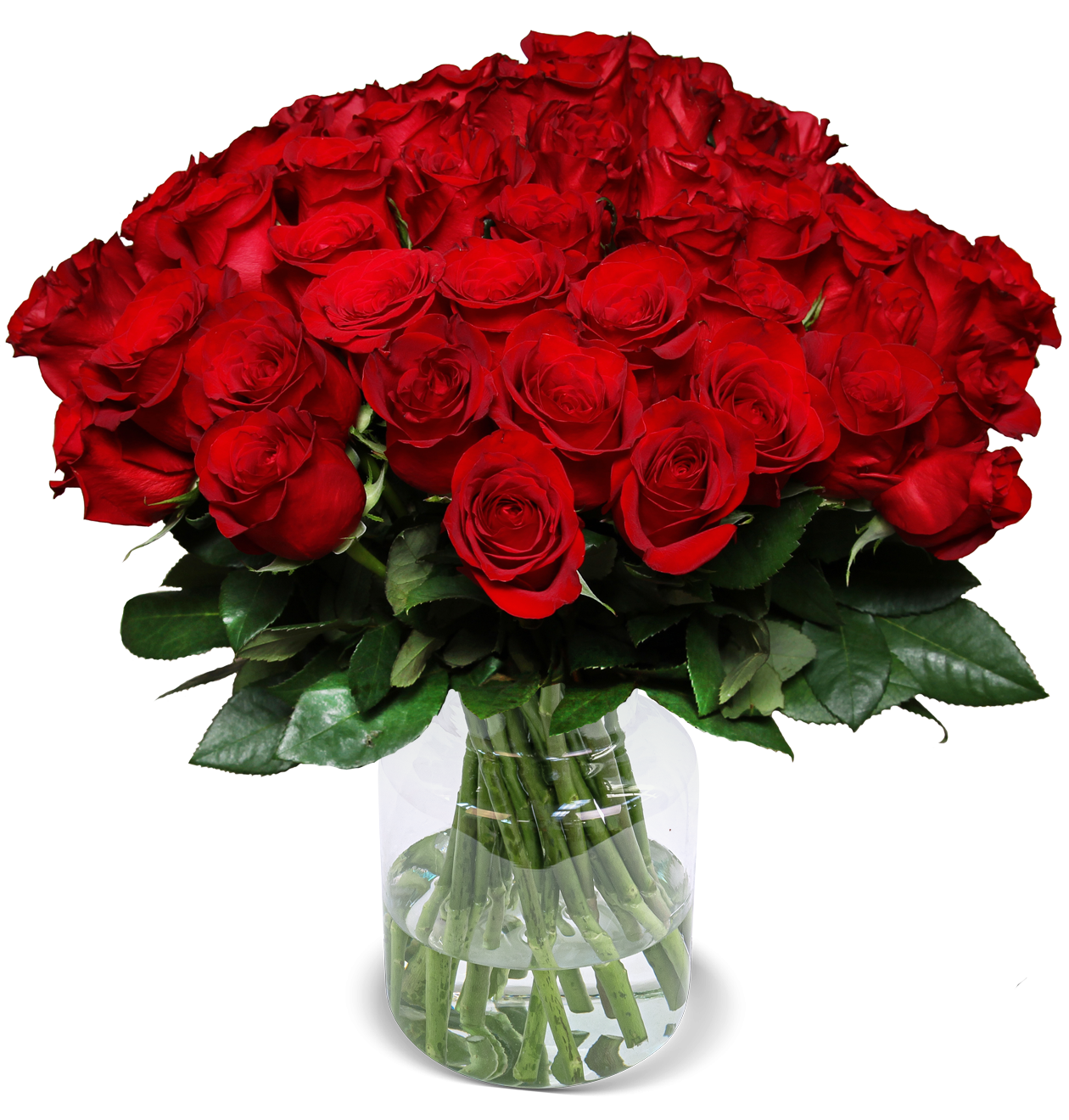 60 rote Rosen "Perfekter Liebesbeweis"