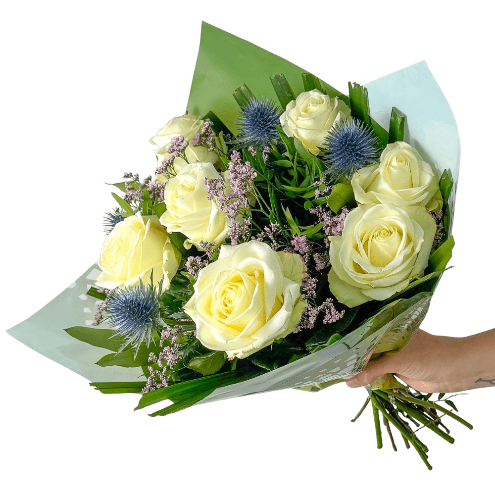 Sanfte Harmonie - Blume Ideal