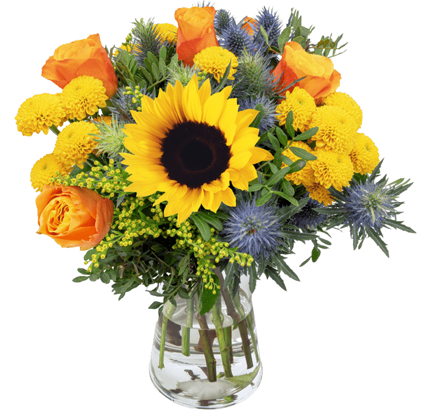 Blumenstrauß Sonnenkuss verschicken