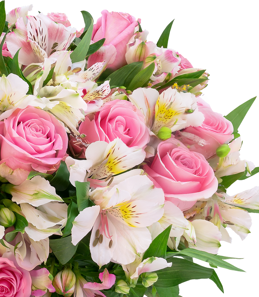 Sweet Surprise mit bis zu 40 Blüten