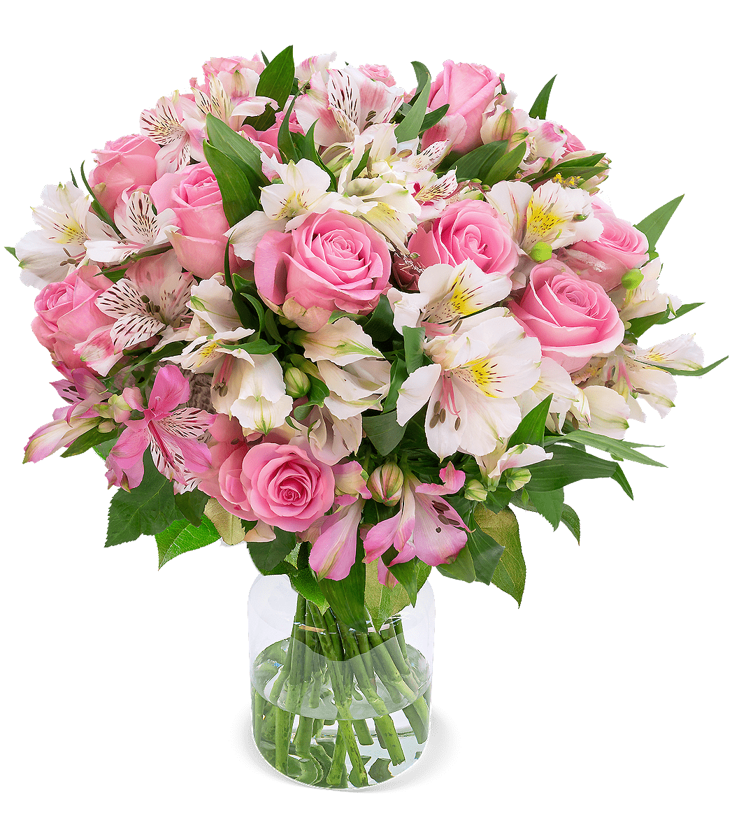 Sweet Surprise mit bis zu 40 Blüten - Blume Ideal