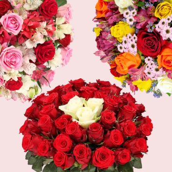 Rosenversand - Rosen verschicken | BlumeIdeal.de