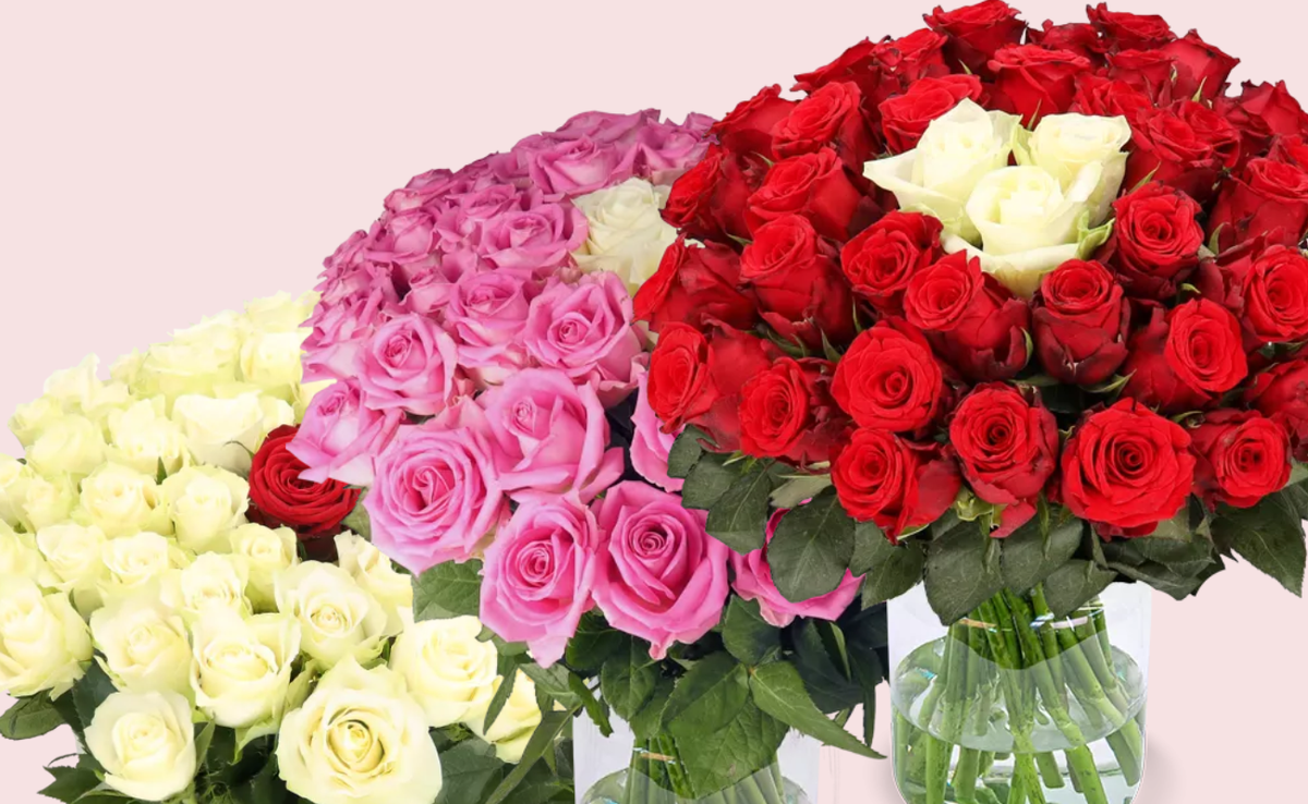 Langstielige Rosen kaufen