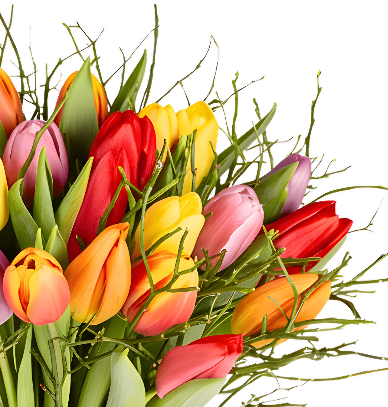 Tulpenstrauß Modern Love - Blume Ideal