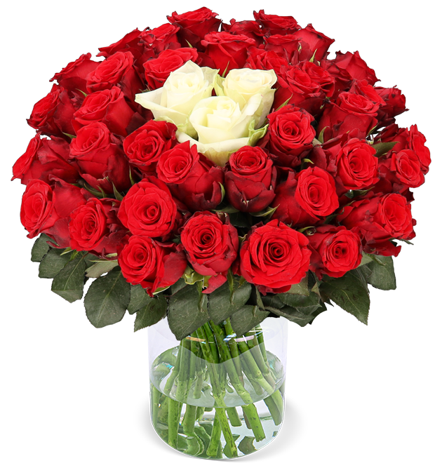 50 Rosen - "Sweetheart"