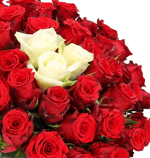 50 Rosen - "Sweetheart"