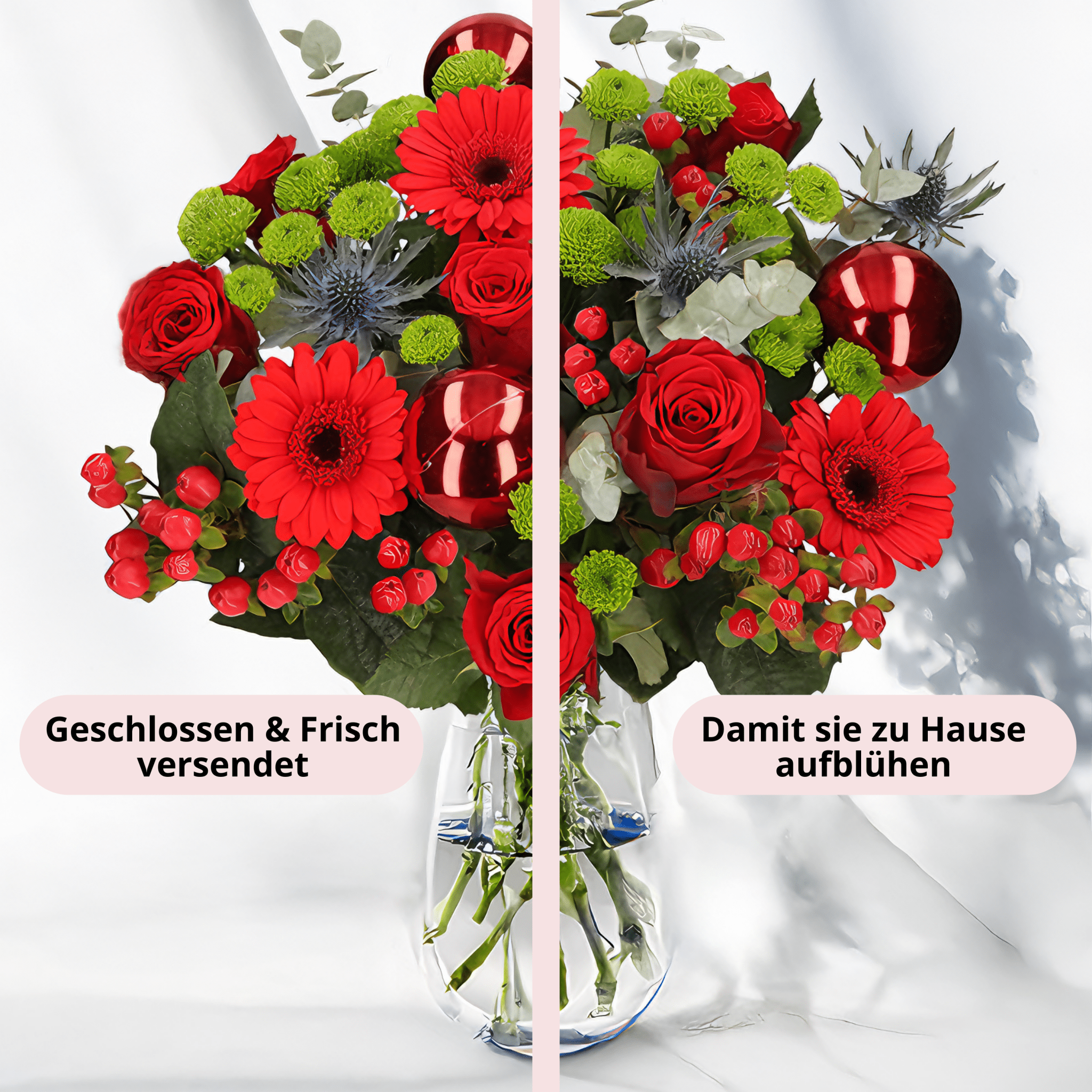 Weihnachtsmärchen - Blume Ideal