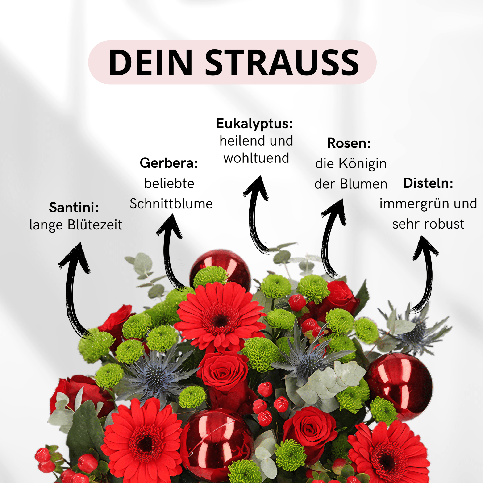Weihnachtsmärchen - Blume Ideal