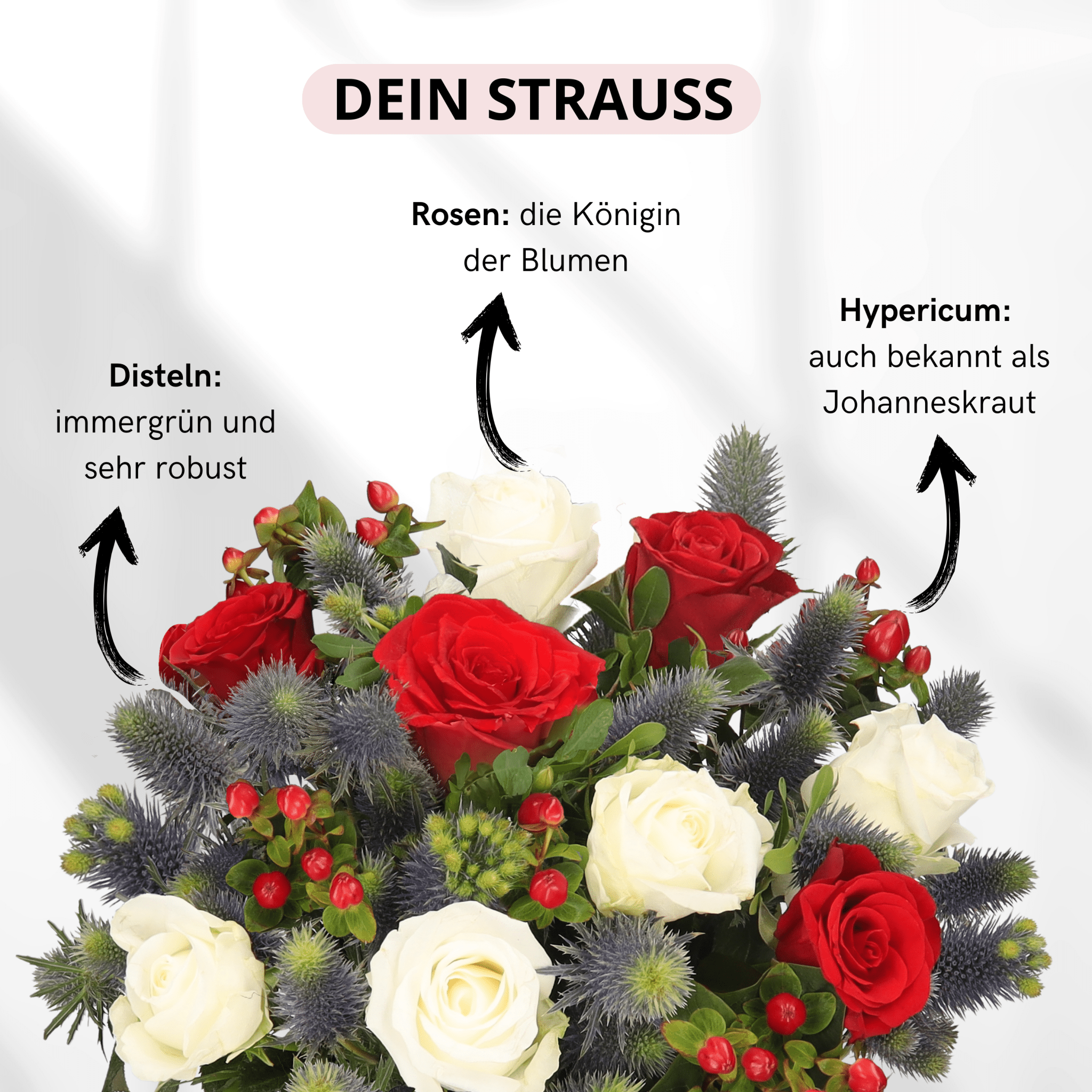 Weihnachtstraum - Blume Ideal