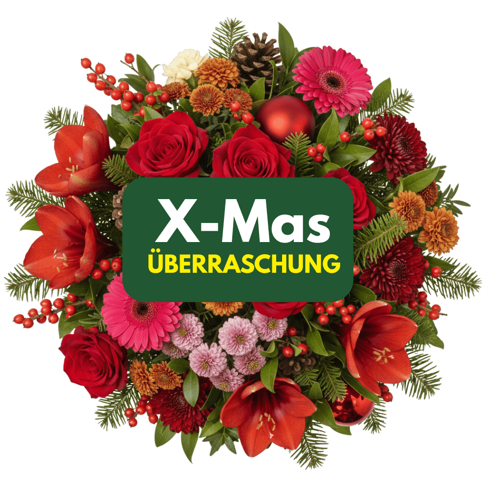 X - Mas Überraschung - Blume Ideal