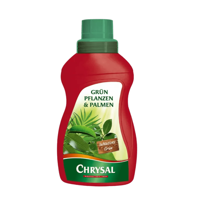 Zimmerpflanzendünger - Blume Ideal