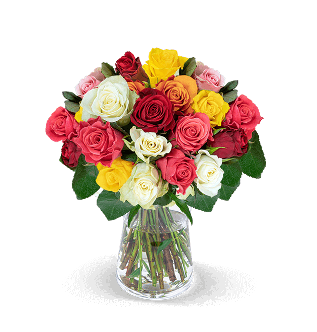 50 Bunte Rosen Online Bestellen Blumeideal De