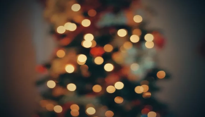 Weihnachtsbaum entsorgen