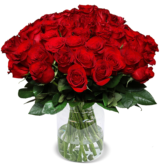60 Rote Rosen - "Perfekter-Liebesbeweis"