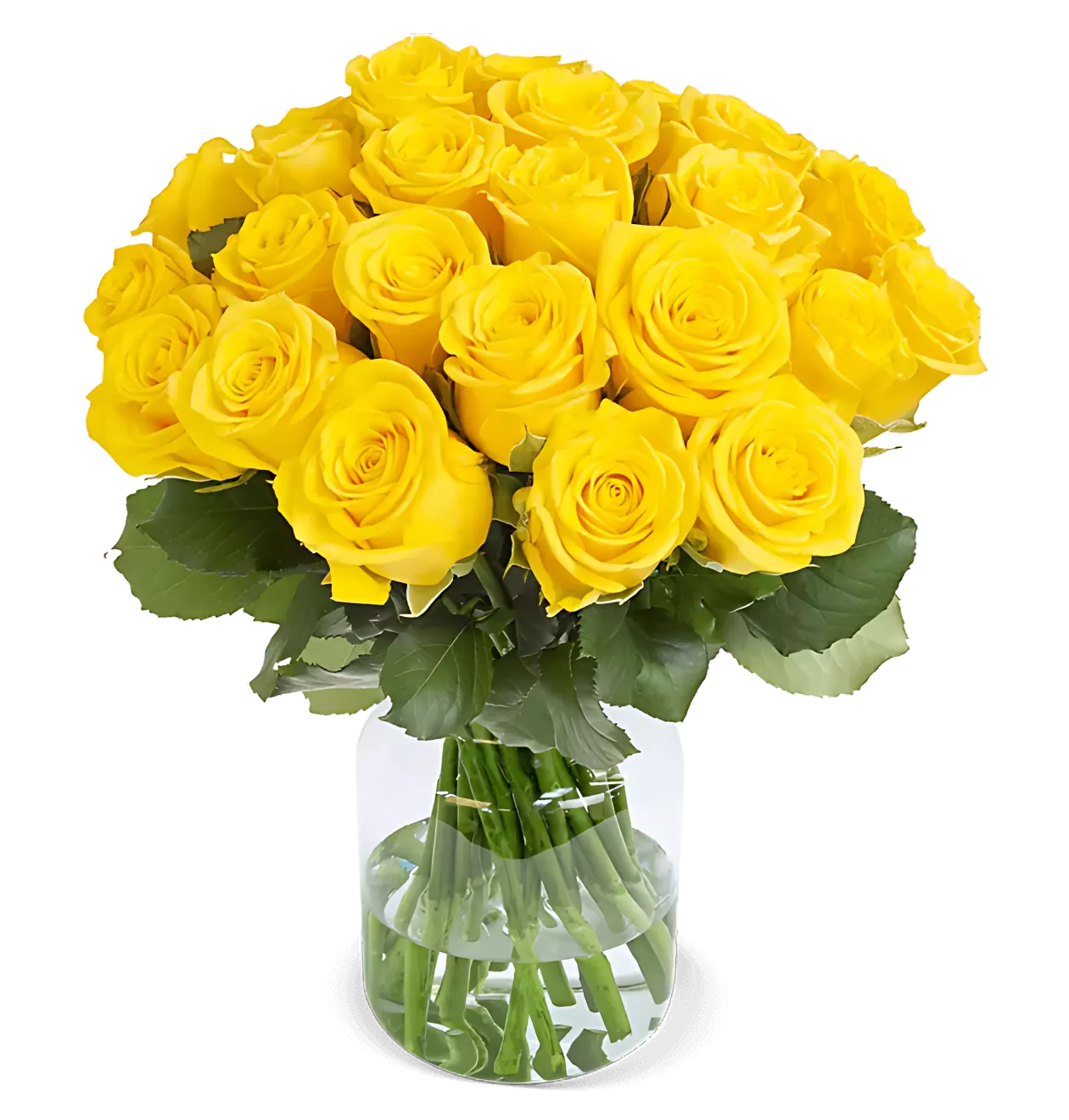 10 gelbe Rosen