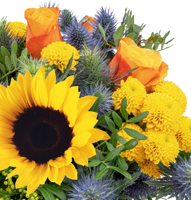 Blumenstrauß Sonnenkuss