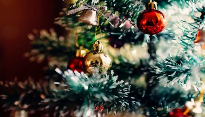 Weihnachtsbaum Wasser