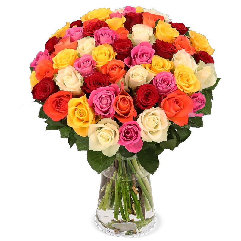 50 bunte Rosen